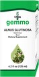 علاج أوندا جيمو، براعم ألدر أسود (Alnus Glutinosa)، 45 أونصة سائلة