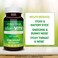 Basic Brands AllerVite Natural Allergy Relief Tablets Homeopathic Sinus Nasal Support with Bioflavonoids Vitamins A B2 B5 C E Calcium 100 Vegan Tablets 2Pack