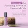 Pranarom Just Plain Relief Essential Oils Relaxing Aromatherapy Oils Organic Essential Oil Blend Essential Oils with Lavender Peppermint Helichrysum 8ml
