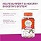 Align Probiotic Kids Gummies Prebiotic Probiotic helps support a healthy digestive system 1 Probiotic Brand 50 Gummies Packaging may vary