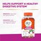 Align Probiotic Kids Gummies Prebiotic Probiotic helps support a healthy digestive system 1 Probiotic Brand 50 Gummies Packaging may vary