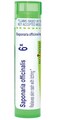 Boiron Saponaria Officinalis 6X for Skin Rash with Itching 80 Pellets