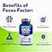 Focus Factor Adults Extra Strength 120 Count Brain Supplement for Memory Concentration and Focus Complete Multivitamin with DMAE Vitamin D DHA Trusted Health Vitamins