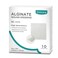 Dimora Calcium Alginate Wound Dressing 4 x 4 Patches10 Individual Sterile Pads Soft and Highly Absorbent Dressing Gauze NonStick Padding