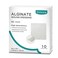 Dimora Calcium Alginate Wound Dressing 4 x 4 Patches10 Individual Sterile Pads Soft and Highly Absorbent Dressing Gauze NonStick Padding