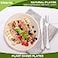 Mimorou 500 Counts 100 Compostable Paper Plates Bulk Heavy Duty Sugarcane Brown Disposable Paper Plates Bulk Small Dessert Party Appetizer Cakes Restaurant Party Supplies 6 Inch