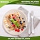 Mimorou 500 Counts 100 Compostable Paper Plates Bulk Heavy Duty Sugarcane Brown Disposable Paper Plates Bulk Small Dessert Party Appetizer Cakes Restaurant Party Supplies 6 Inch