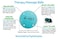 كرة تدليك ActiveProZone Therapy لتخفيف آلام العضلات فورًا، فعّالة مثبتة في تحرير اللفافة العضلية، والضغط على الأنسجة العميقة، وعلاج نقاط الزناد في اليوغا. مجموعة من كرتين شديدتي الصلابة مع حقيبة شبكية.