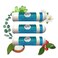 مجموعة mEssentials Wild Essentials المكونة من 3 أجهزة استنشاق أنفية عطرية لعلاج البرد والإنفلونزا، مصنوعة من زيوت عطرية علاجية للمساعدة في تخفيف أعراض البرد.