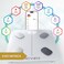 INEVIFIT Smart Body Fat Scale Highly Accurate Bluetooth Digital Bathroom Body Composition Analyzer Measures Weight Body Fat Water Muscle Visceral Fat Bone Mass for Unlimited Users EcoWht