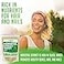 XPRS Nutra Horsetail Extract Powder for Hair Nails and Bones High Potency Horsetail Root Powder High Silica Content for Maximum Results Vegan Friendly Horstail Extract 16 oz