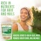 XPRS Nutra Horsetail Extract Powder for Hair Nails and Bones High Potency Horsetail Root Powder High Silica Content for Maximum Results Vegan Friendly Horstail Extract 16 oz