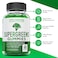 Atlantis Nutrition Supergreens Gummies Daily Green Superfoods Supplement with Spinach Broccoli Moringa Beet Root Celery Green Tea Acai for Immunity Support Natural Raspberry Flavor 60 cnt