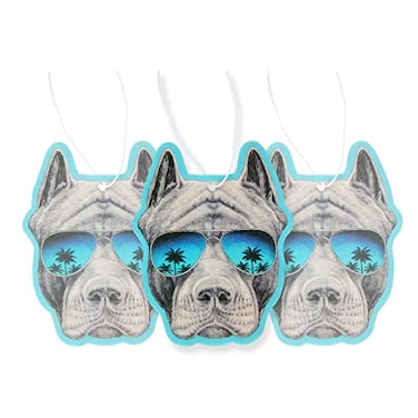 Fresh Fresheners Air Freshener Scented With Essential Oils By Pit Sunnies
