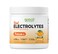 Great Naturally Focus Orange Nootropic Electrolyte Hydration Brain Support for Cognitive Enhancement Memory Concentration Citicoline Organic Caffeine Methyl B12 Made in USA