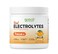 Great Naturally Focus Orange Nootropic Electrolyte Hydration Brain Support for Cognitive Enhancement Memory Concentration Citicoline Organic Caffeine Methyl B12 Made in USA