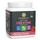 Sunwarrior Raspberry Active Creatine 1234 OZ