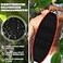 Evridwear Exfoliating Body Scrubber with Handles Back Washer for Shower