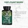 PlantFusion Vegan Vitamin D3 2000IU Organic Vitamin D3 Sourced from Vitashine Plant Based Lichen Promotes Immune and Bone Health 60 Tablets
