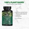 PlantFusion Vegan Vitamin D3 2000IU Organic Vitamin D3 Sourced from Vitashine Plant Based Lichen Promotes Immune and Bone Health 60 Tablets