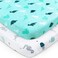 SPRINGSPIRIT Pack and Play Sheets Fitted Mini Crib Sheets 2 Pack Playard Sheets Compatible with Graco Pack n Play Ultra Soft Breathable Material Dinosaurs