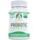 Doctor Danielle Dr Danielle Probiotic Probiotics for Women and Men Adults by Dr Danielle Shelf Stable Probiotic Supplement No Refrigeration Necessary Bacillus 60 Capsules