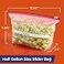 Hefty Calendar Slider Half Gallon Storage Bags 32 Count Pack of 4 Half Gallon Slider Bags with Calendar Dates Holds Raw Meat Breads Fruits and Veggies Zip and Click Closure 128 Total Count