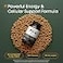 NatureBell PQQ with CoQ10240 Capsules 40mg Active PQQ with 10mg Coenzyme Q10 Cellular Energy Heart Health Brain Function Support Antioxidant Nutrients NonGMO 3rd Party Tested