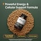 NatureBell PQQ with CoQ10240 Capsules 40mg Active PQQ with 10mg Coenzyme Q10 Cellular Energy Heart Health Brain Function Support Antioxidant Nutrients NonGMO 3rd Party Tested