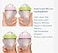 Generic Baby Bottles 2 Pack 8oz Nurture Nest Anti Colic Bottles with Easy to Hold Handles and Soothing Green Trim