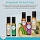 mEssentials Wild Essentials Sugar Me Sweet Essential Oil Roll On 10ml Uplifting Mood Boosting Sweet Cotton Candy Aroma Made with Organic Jojoba Oil Ready to Use Moisturizer All Natural