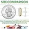XPRS Nutra Size 4 Empty Capsules 1000 Count Small Clear Empty Vegan Capsules Vegetarian Pills DIY Vegetable Capsule Filling Fillable DoItYourself Veggie Caps for Supplements