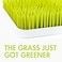 Boon Grass Countertop Drying Rack Bundle Includes Grass Stem and Twig Capacity for 4 Baby Bottles and Baby Accessories Baby BottleFeeding Supplies 95 x 95 x 3