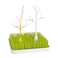 Boon Grass Countertop Drying Rack Bundle Includes Grass Stem and Twig Capacity for 4 Baby Bottles and Baby Accessories Baby BottleFeeding Supplies 95 x 95 x 3