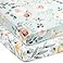 GRSSDER Stretchy Ultra Soft Jersey Knit Fitted Pack n Play Sheets Set 2 Pack PortableMini Crib Sheets for Girls Watercolor Flowers and Fruits