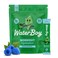 Waterboy Workout Hydration Blue Raspberry Sugar Free Electrolytes Powder Drink Mix 15ct Hydration Packets