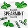 ChapStick Bulk Lip Balm Classic Spearmint 12Pack Cool Refreshing Lip Moisturizer for Dry Lips 015 Oz Ea