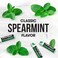 ChapStick Bulk Lip Balm Classic Spearmint 12Pack Cool Refreshing Lip Moisturizer for Dry Lips 015 Oz Ea