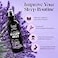 Aromasong All Natural Pillow Spray Holiday Gift Pack of Lavender Ocean Mist and Eucalyptus Included Calming Linen Bedtime Natural Essential Oil Mist Spray for Sleeping