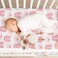 Gllquen Baby Bassinet Sheets 4 Pack Breathable Cozy Fitted Mattress Sheet