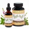 Whole World Botanicals Royal Desmodium Herbal Supplement Liquid Extract 2 oz Traditional Botanical