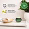 Nature's Beauty Natures Beauty Eucalyptus Tea Tree Bath Bomb MultiPack Natural Hand Crafted NonStaining Luxury Fizzy Spa Bomb Sooth Restore Skin Made wCoconut Oil Witch Hazel 55oz 4 Pack