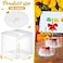 Juexica 100 Pcs Candy Apple Boxes with Hole 4 x 4 x 4 Inch Caramel Apple Container Treat Gift Boxes for Wedding Birthday Party Chocolates Cookies Cake Pops Clear