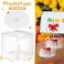 Juexica 100 Pcs Candy Apple Boxes with Hole 4 x 4 x 4 Inch Caramel Apple Container Treat Gift Boxes for Wedding Birthday Party Chocolates Cookies Cake Pops Clear