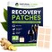 NC NATURAL Recovery Patches 42 Pack Wake Up Refreshed and Energized with SkinFriendly Patch Strong Adhesive for Secure Fit Natural Ingredients for Quick Recovery