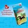 BioSwiss Bandages Weiner Dog Shaped Self Adhesive Bandage Set Latex Free Sterile Wound Care 24 Count
