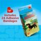 BioSwiss Bandages Weiner Dog Shaped Self Adhesive Bandage Set Latex Free Sterile Wound Care 24 Count