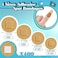 Funtery 400 Adhesive Spot Bandage 4 Sizes Round Flexible Fabric Adhesive Round Tan Non Latex Bandage for Wound Care and Hides Skin Spots Ideal for Small Incisions