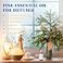 HIQILI 100ml Pine Needle Essential Oil Premium Quality for Diffuser Skin Candle Making 338 Fl Oz