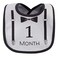 Hudson Baby Monthly Milestone Interlock Bibs 13pk Brand New One Size